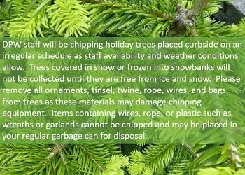 Christmas Tree Announcement