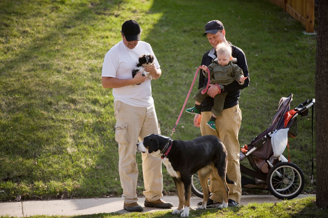 Dogs on Paved Surface