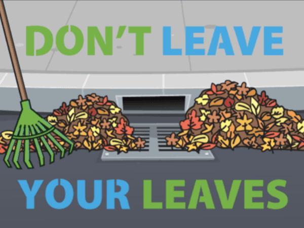 dont leave your leaves