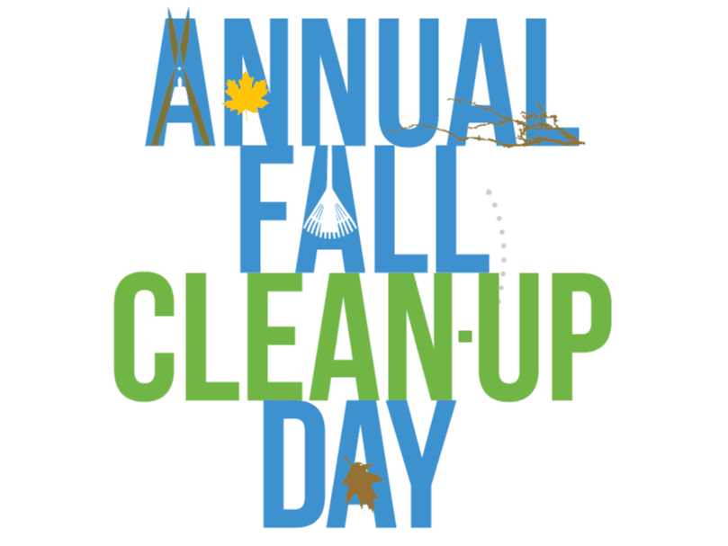 fall yard clean up