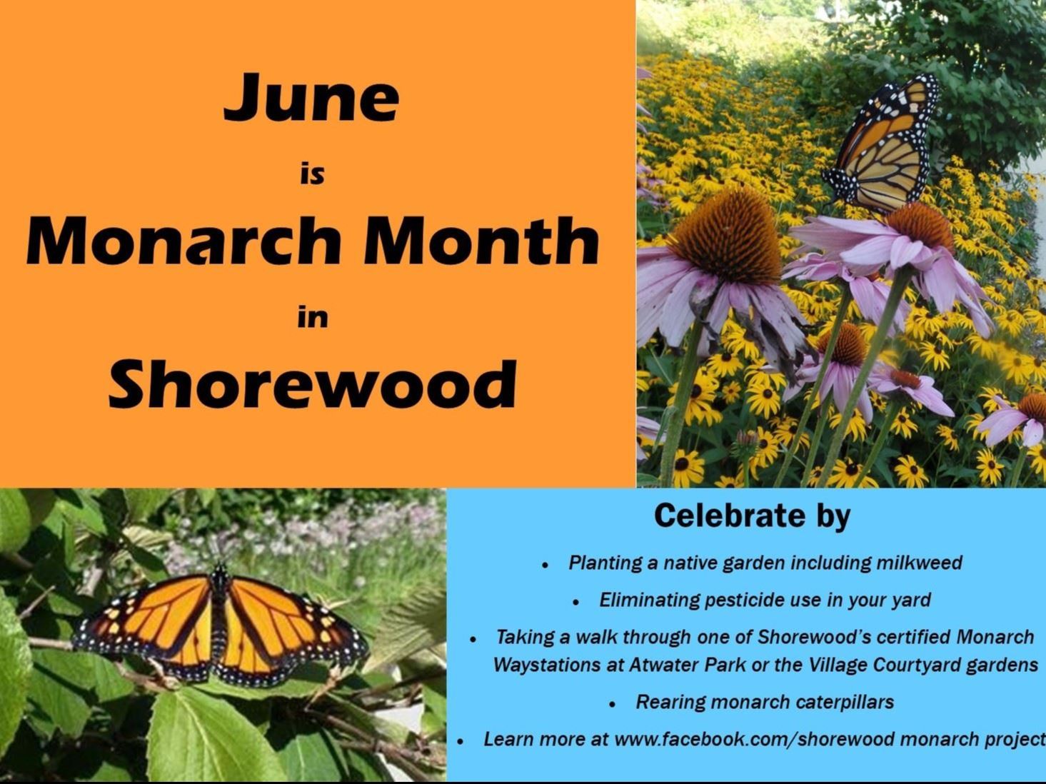 monarch month 2021